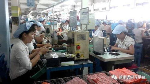越南鞋業寒冬 老牌企業裁員近3000人，折射社會經濟深層挑戰