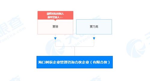 解碼社會經濟咨詢服務的價值與挑戰
